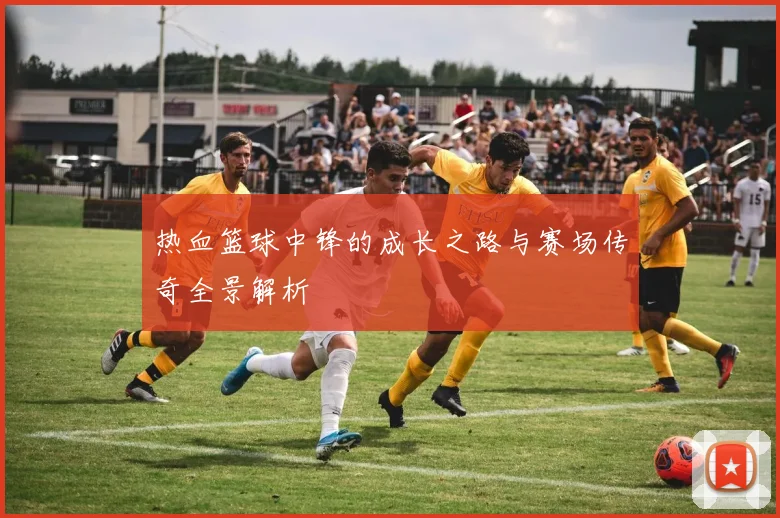热血篮球中锋的成长之路与赛场传奇全景解析