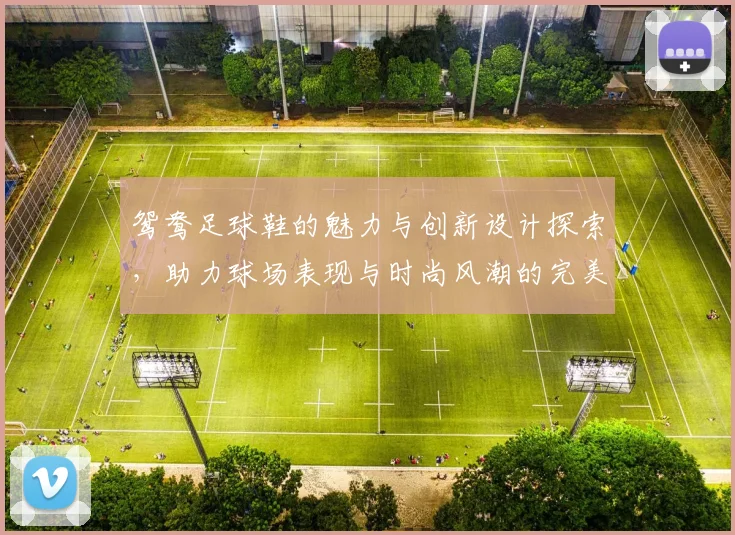 鸳鸯足球鞋的魅力与创新设计探索，助力球场表现与时尚风潮的完美结合