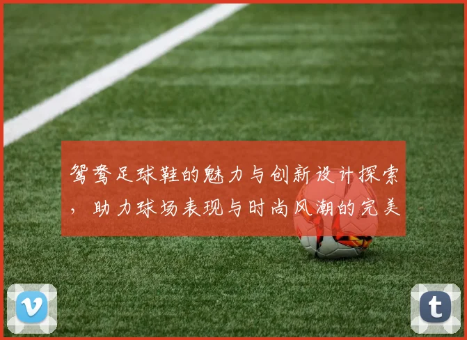鸳鸯足球鞋的魅力与创新设计探索，助力球场表现与时尚风潮的完美结合