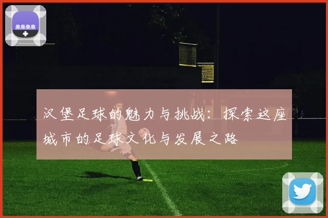 汉堡足球的魅力与挑战：探索这座城市的足球文化与发展之路