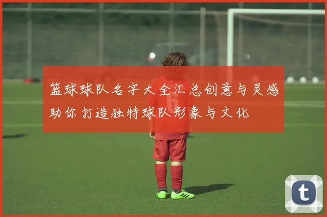 篮球球队名字大全汇总创意与灵感助你打造独特球队形象与文化