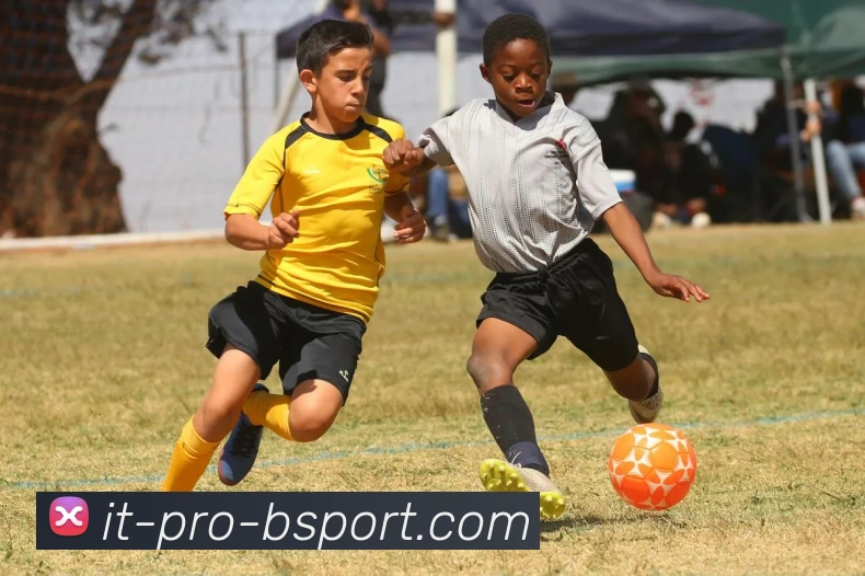 B体育官网发展历程